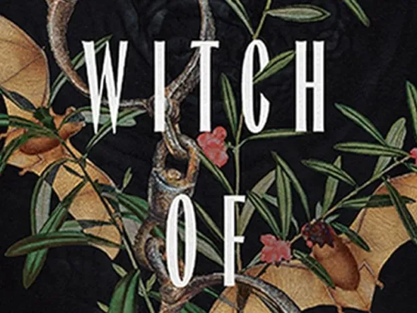 Illustrated cover of The Witch of Pungo