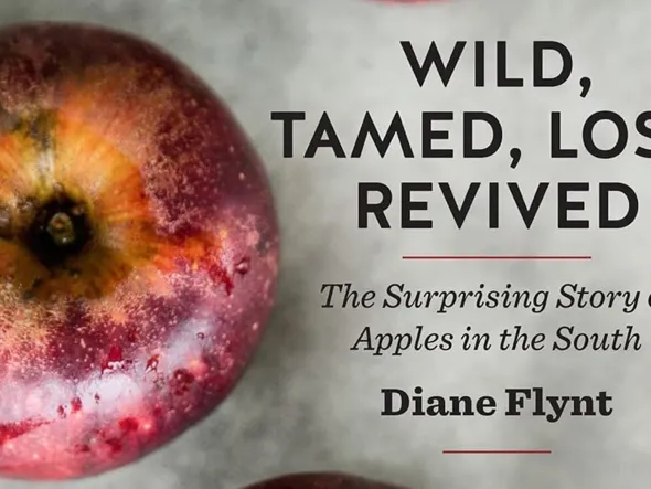 Detail of a book cover for Wild, Tamed, Lost, Revived: The Surprising Story of Apples in the South by Diane Flynt shows a closeup of an apple.