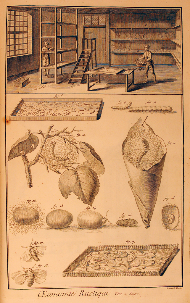"Economie Rustique" from Diderot's Encyclopédie