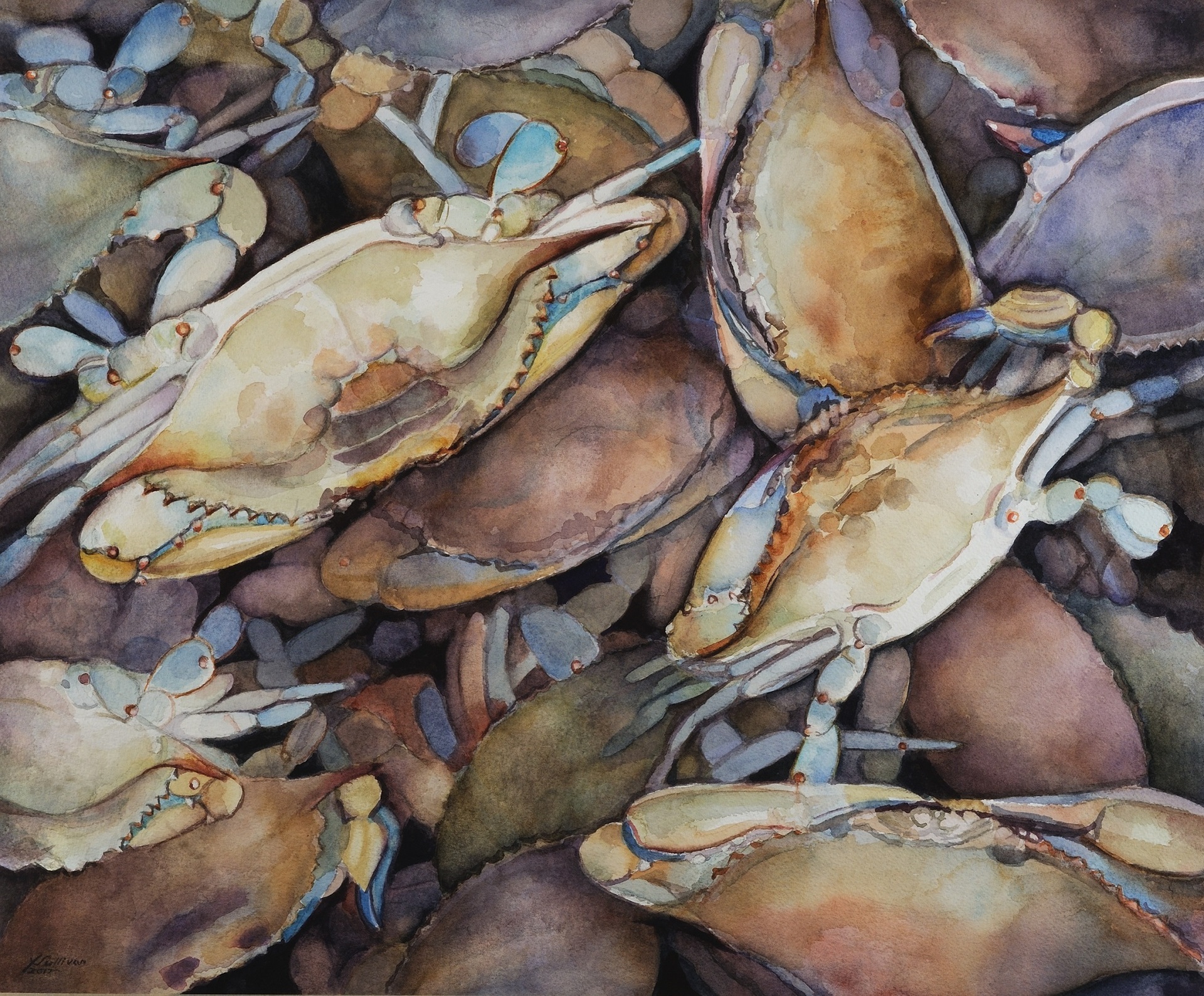A close up of a pile of crabs
