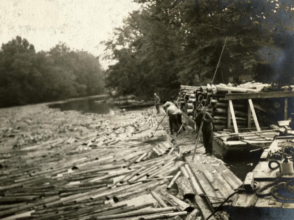 Lumbering, western Virginia, c. 1922