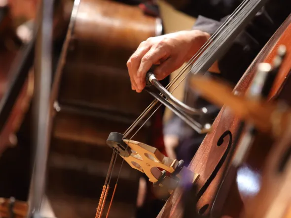 History Notes Close-up of a musician's hand playing a cello with a bow, surrounded by other string instruments in a warm, concert setting.