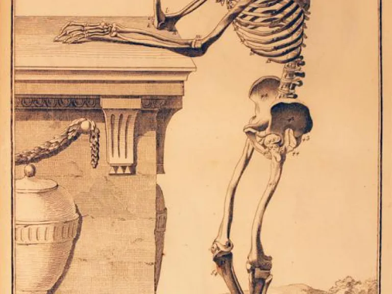 AE25.E53.Rare_.OS_.vol22.pl1_.Anatomie.jpg AE25.E53.Rare_.OS_.vol22.pl1_.Anatomie.jpg