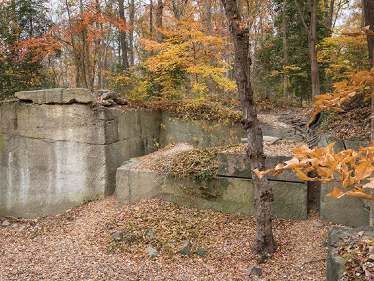 A House Built of Virginia Stone Photograph of the Government Island Quarry