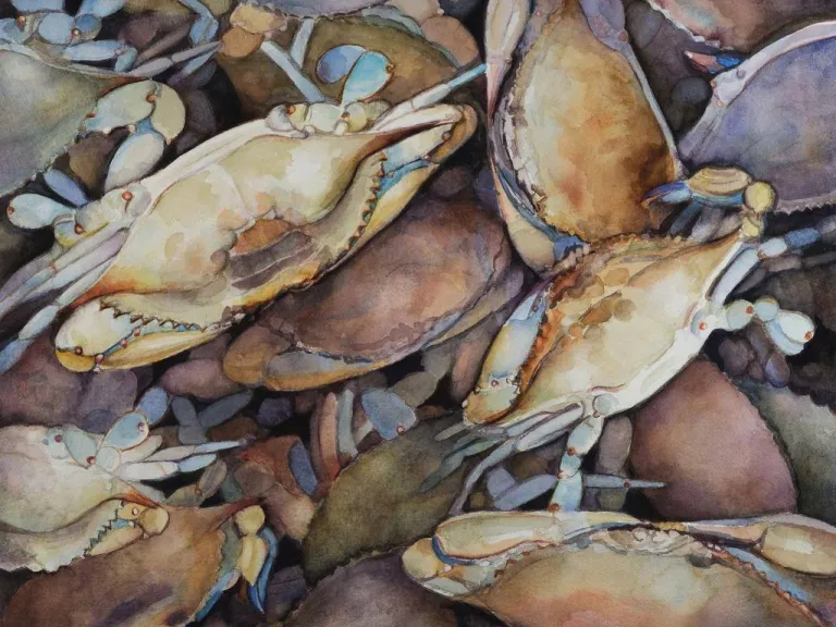 A watercolor painting of layers of blue crabs