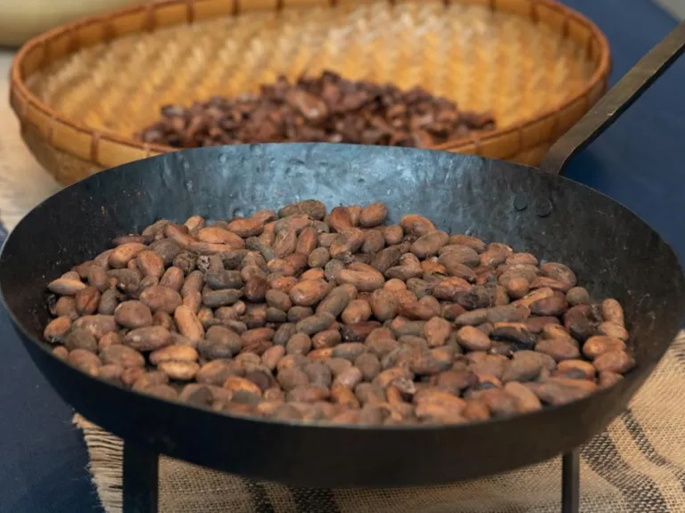 VHE_Chocolate_2019-12-14_Chocolate-Demo001.jpg VHE_Chocolate_2019-12-14_Chocolate-Demo001.jpg