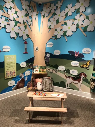 A gallery with a dogwood tree mural, picnic table, and interactive children's costumes