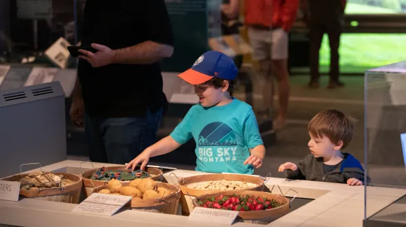 Two children play with toy food in an interactive exhibition