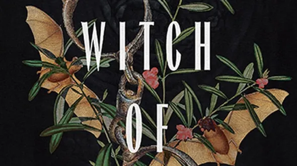 Illustrated cover of The Witch of Pungo