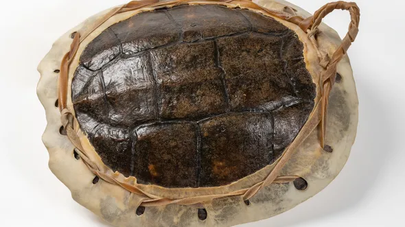Turtle hand drum, early 20th century 