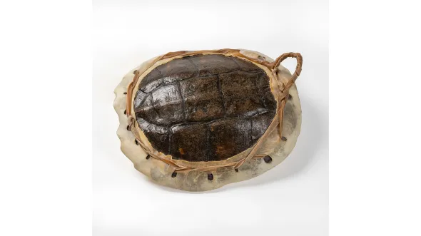 A color photograph of a turtle hand drum from the early 20th century 