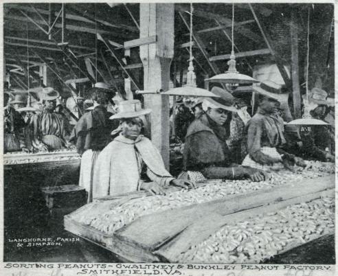 Sorting Peanuts, Smithfield, c. 1913